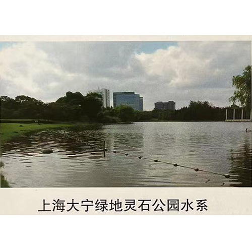 上海大寧綠地靈石公園水系